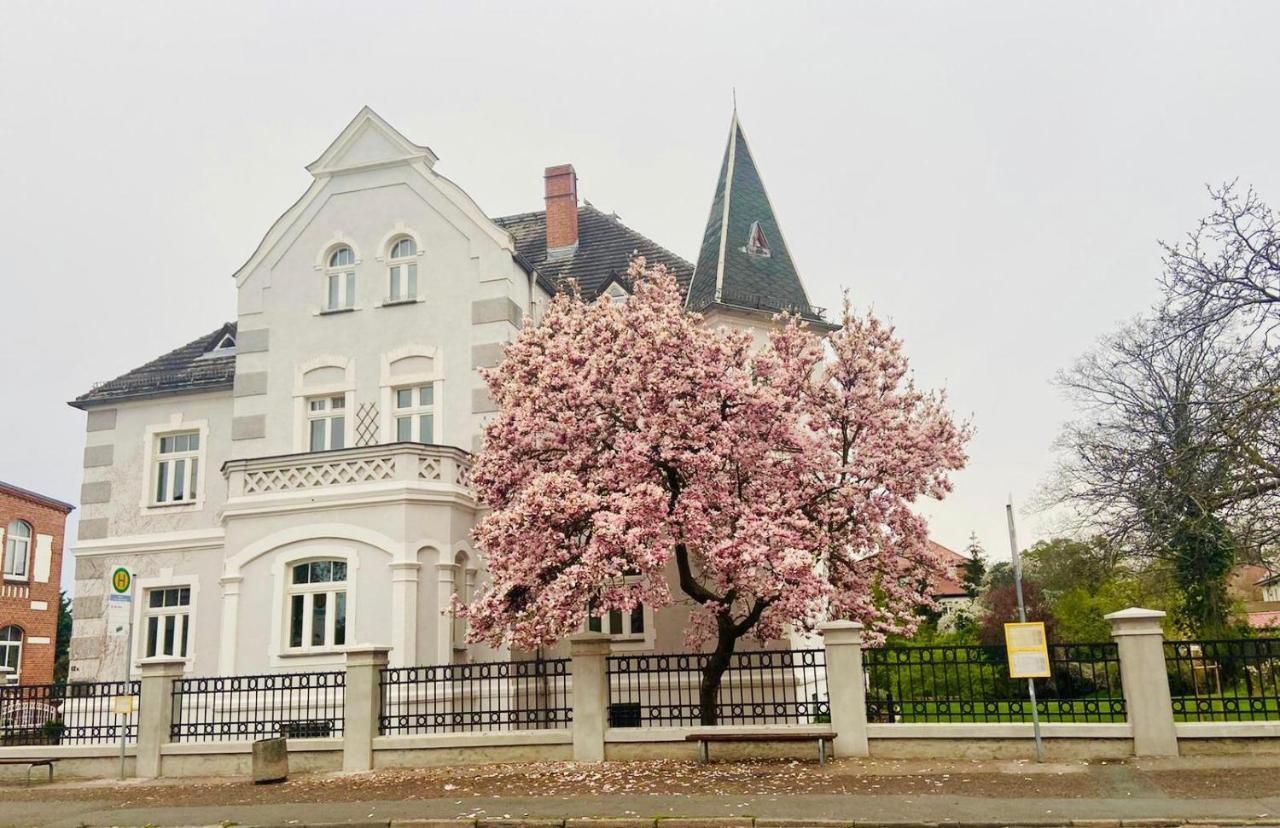 Boutique Appartement Torgau Kültér fotó