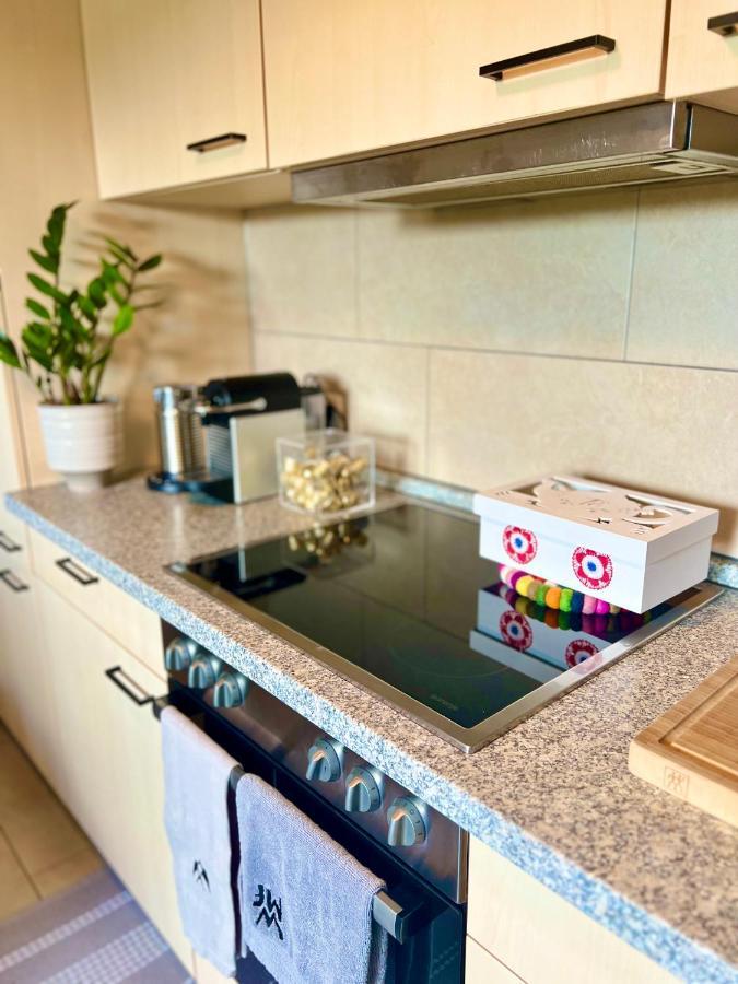 Boutique Appartement Torgau Kültér fotó